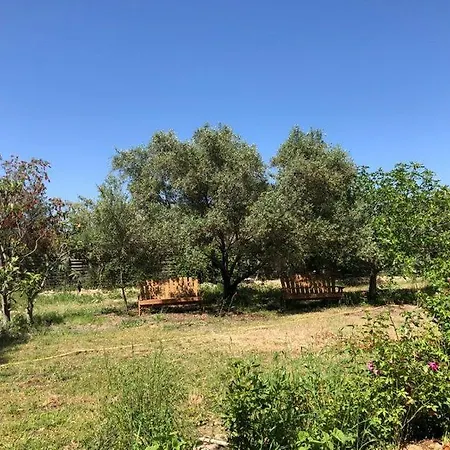 L'umbria Calvi (Corsica)