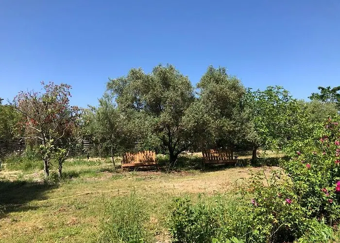 L'umbria Calvi (Corsica)